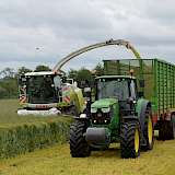 Aufgrund der Nässe geht die Gras- und GPS-Ernte nur langsam voran.