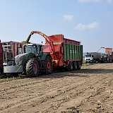 LU Matthias Jackls Maissaison begann in diesem Jahr Mitte September, fast identisch mit dem Start des ver-gangenen Jahres. Mit Regen und nassen Flächen hatte er kein Problem, allerhöchstens mit zu grünem Mais und entsprechend geringer TM. Angefangen hat er mit Mais um die 28 % TM. Besonders auffällig seien in diesem Jahr die Sortenunterschiede, meint er. Er lässt meist durch Speditions-Lkw abfahren. Statt Häckselwagen nutzt er Überladewagen von Hawe.