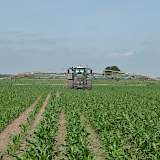 Vor dem Tridemfass läuft ein 300 PS-Schlepper mit 2,25 m breiter Spur.