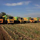 Neben den leistungsstarken Häckslern laufen bei Jasno fünf 6x6 Dreiachs-Tatra Lkw mit jeweils 460 PS. Diese Trucks fahren mit 87 m³ Aufliegern in der Silagekette Mais und Gras vom Feld zum Silo.