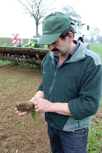 Beim Einsatz der Hackfräse werden die Pflanzen mit dem Wurzelballen abgeschnitten. Foto: Hägler