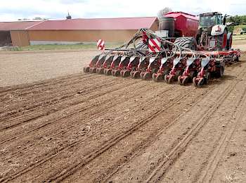 Kulturen wie Soja, Mais, Raps, Lupinen oder Ackerbohnen sät LU Hägler mit einem 6 m Sägerät mit Gänsefußscharen. Das Agrarservice-Unternehmen hat zudem eine spezielle Anlage zur Flüssigimpfung in der Saatfurche nachgerüstet. Foto: Hägler