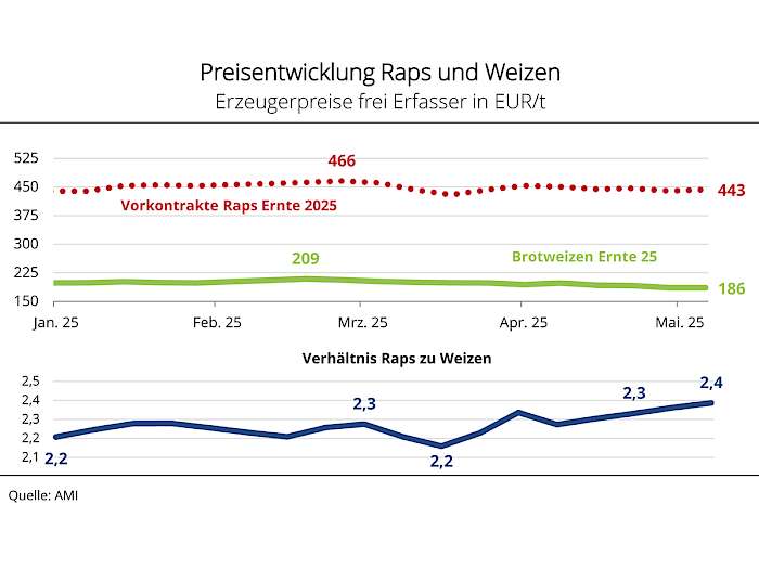 Ernteschätzung Mai 2025